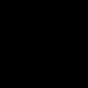 Meet your Posher, Ana